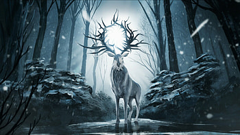 Shadow and Bone TV Shows, , Backgrounds HD wallpaper