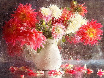 Still life, white, rain, vase, beautiful, nice, delicate, wet, red, flowers, lovely, harmony HD wallpaper
