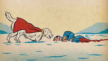 Superman (2025), Superman, Krypto (DC Comics) HD wallpaper