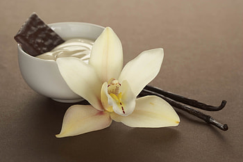 Pure vanilla beans, Beans, Pure, Vanilla HD wallpaper