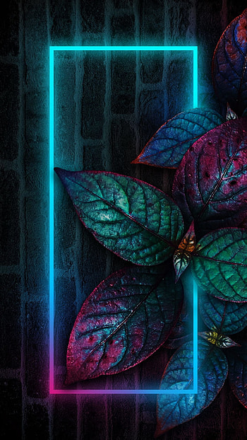 Neon light, leaves, blue-neon HD phone wallpaper