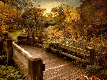Autumn bridge, fall, landscape, trees, bridge, autumn, nature HD wallpaper