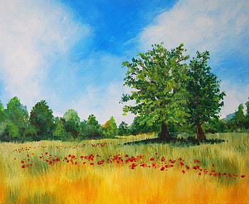 poppy_field_final, poppy, field, red, clouds, sky, nature, grass, tree HD wallpaper