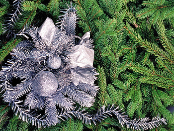 Holidays, New Year, Fir-Trees, Christmas, Xmas HD wallpaper