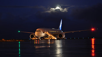 Boeing 787 Dreamliner, Aircraft, Boeing, Airplane, Vehicles HD wallpaper