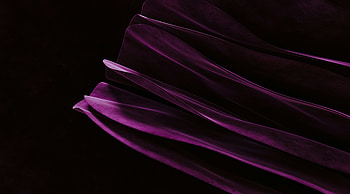 Abstract Momentary 10k, abstract, pink, purple, artist, artwork, digital-art HD wallpaper