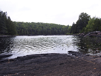 Shoreline Of Flat Rock, graphy, Forest, Trees, Flat Rock, Nature, River, Shoreline HD wallpaper
