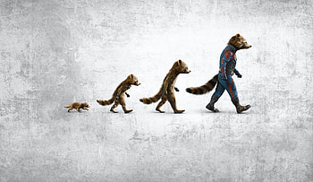 Rocket's Evolution — Guardians of the Galaxy Vol. 3 ( Ultra ), movie, Guardians of the Galaxy Vol. 3 HD wallpaper