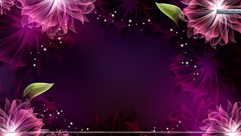 Flowers on Black Background Wide HD wallpaper