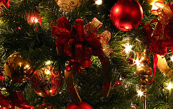 Christmas, colors, merry, tree HD wallpaper