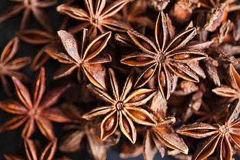 Anise Plant, Essential oil delight, Sensient 2021, Fragrance power HD wallpaper
