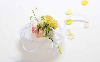 romantic events, colorful, plants, yellow, nature, flowers, lovely, nice HD wallpaper