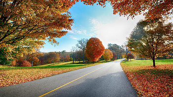 beautiful landscape | beautiful nature landscapes . HD wallpaper
