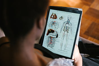 A woman studies anatomy diagrams on a tablet indoors, focusing on educational material. HD wallpaper