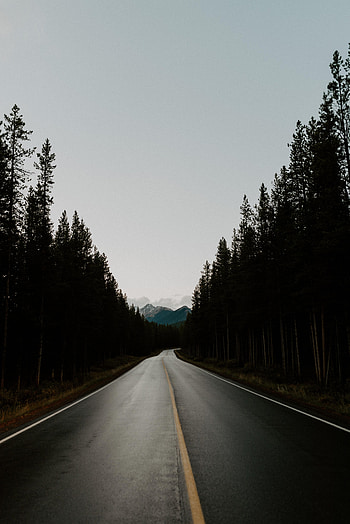 Nature, Trees, Sky, Mountains, Road, Dahl, Distance HD phone wallpaper