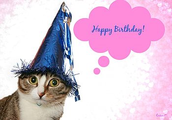 Happy Birtay!, blue, animal, white, by cehenot, cute, cat, pink, birtay, card, hat HD wallpaper