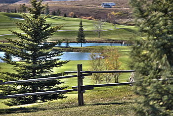 Lynx Ridge Gold Course, grass, r, golf, green HD wallpaper