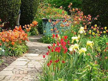 flower garden, summer, path, garden, nature, flowers HD wallpaper