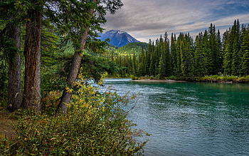 Banff National Park, mountain river, evening, sunset, mountain landscape, forest, Canada, Canadian nature HD wallpaper