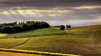 Farm ultra , High-quality , Rural landscapes, Serene beauty HD wallpaper