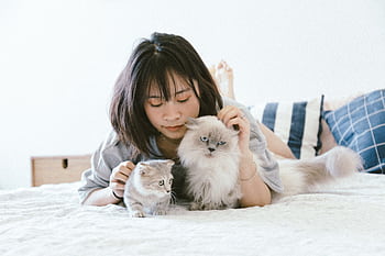 Young Asian woman relaxing on a bed with two fluffy cats in a cozy bedroom. HD wallpaper