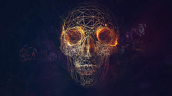 Abstract, Roses, Lines, Skull, Geometry HD wallpaper