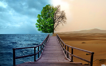 Landscape, Trees, Sea, Desert HD wallpaper