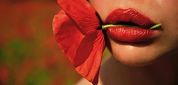 ღ, Woman, Poppy flower, Maleup, Red lips HD wallpaper