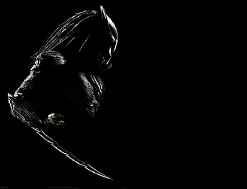 Look to the Shadows, white, black, fantasy, movie, predator, dark HD wallpaper