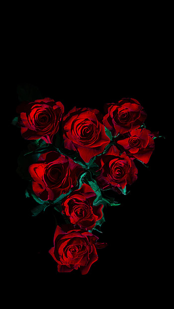 Flowers, Roses, Bouquet HD phone wallpaper