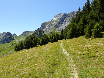 Nature, Trees, Summer, Mountain, Path HD wallpaper
