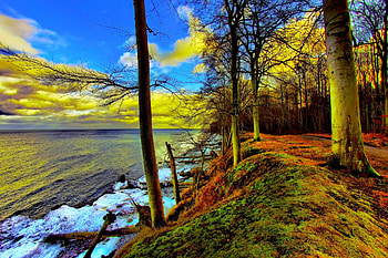 RIVERBANK TREES, river, clouds, autumn, sky, nature, tree HD wallpaper