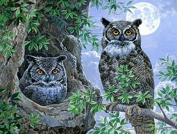 Night Watch, night, owls, moon, tree HD wallpaper