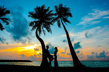 Silhouette of a couple between palm trees on a tropical beach at sunset, depicting romance and tranquility. HD wallpaper