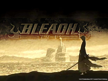 Bleach, ichigo, sword, soul society, weapons, ichigo kurosaki, lone, anime, kurosaki ichigo, cool, solo, silhouette HD wallpaper