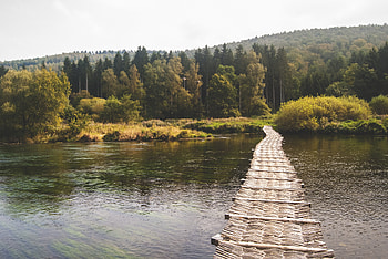 Nature, Rivers, Forest, Bridge HD wallpaper