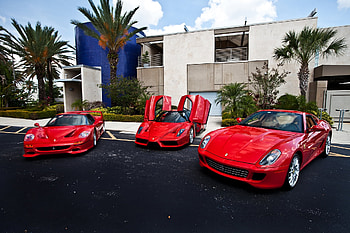 Palms, Ferrari, Cars, Building HD wallpaper