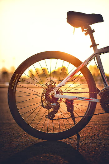 Silhouetted bicycle wheel captured with sunset backdrop, highlighting gears and frame. HD phone wallpaper