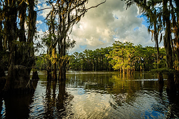 Caddo Lake, Nature graphers, Beautiful scenery, Serene environment HD wallpaper
