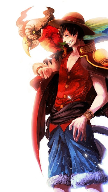 Luffy, Luffy With Birds HD phone wallpaper