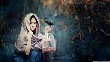 as a bird, vail, bird, asian, beauty HD wallpaper