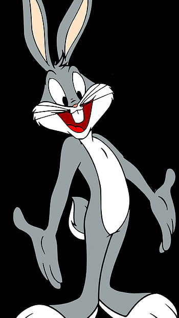 Bugs Bunny, Lola Bunny, Supreme HD phone wallpaper