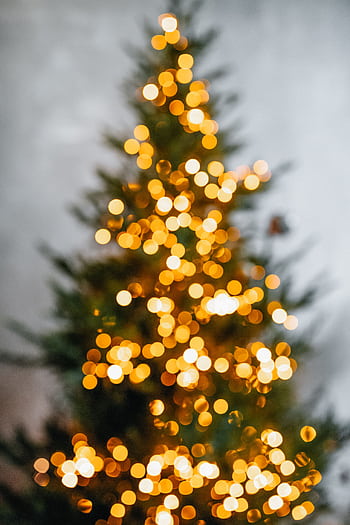 Elegant bokeh effect on a Christmas tree with warm festive lighting, creating a cozy holiday atmosphere. HD phone wallpaper