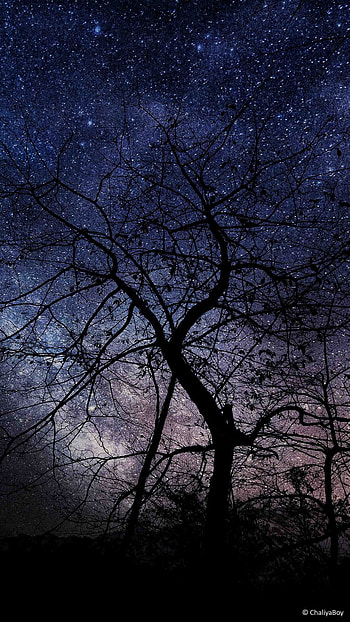 Night three, sky, nght, darck night HD phone wallpaper