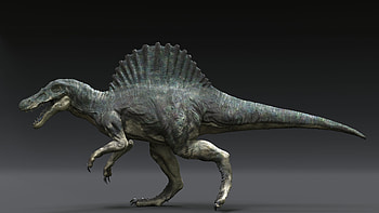 Spinosaurus zbrushcentral, Digital sculpting, Artist community, Creative expression HD wallpaper
