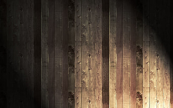 Background, Wood, Tree, Texture, Textures, Shadow HD wallpaper