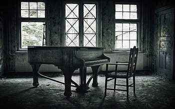 Musical elegance, Soulful melodies, Captivating instrument, Harmonious ambiance HD wallpaper