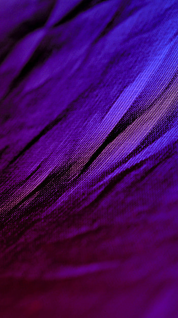 Purple Color, Design Background HD phone wallpaper