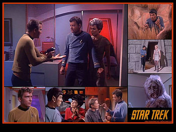 The Man Trap, planet m113, nancy crater, salt vampire, star trek HD wallpaper