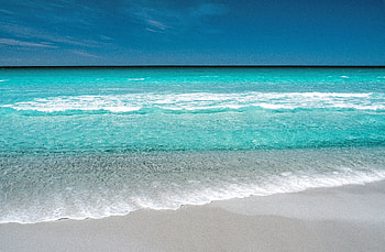 Tropical beach, sea waves, seashore, adorable HD wallpaper